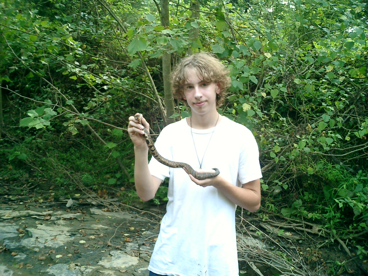 Blake and an adult western cottonmouth [443 Kb]